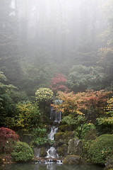 Image showing Waterfall at Japanese Garden in Fall