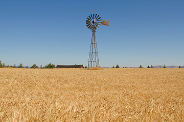 Image showing Wheat Grass Field with Windmill and Barn