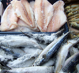 Image showing frozen fish