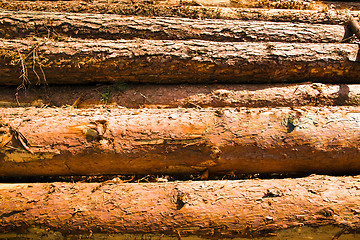 Image showing combined logs