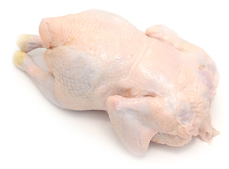 Image showing raw chicken