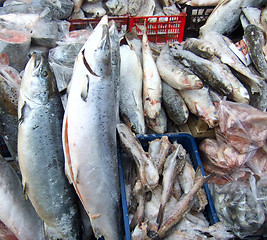 Image showing frozen fish