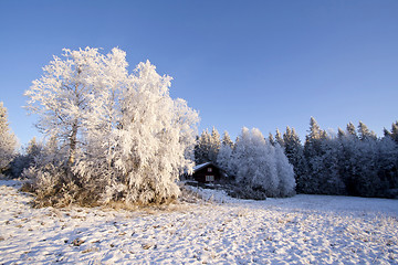 Image showing Winter landscape