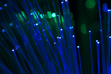 Image showing Optical fibers