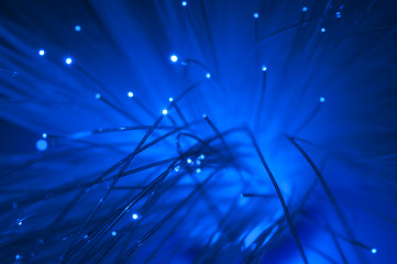 Image showing Optical fibers