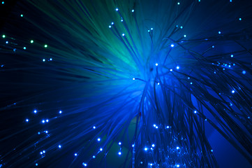 Image showing Optical fibers