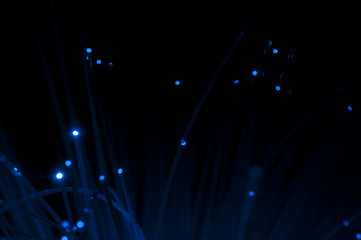 Image showing Optical fibers