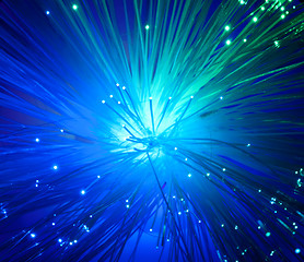 Image showing Optical fibers