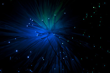 Image showing Optical fibers