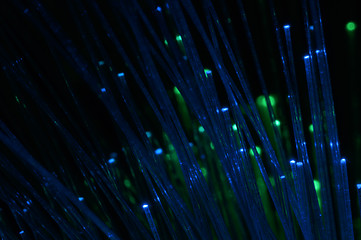 Image showing Optical fibers