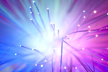 Image showing Optical fibers