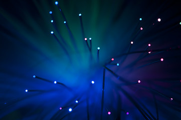 Image showing Optical fibers