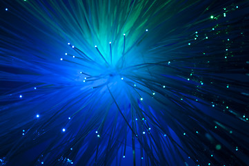 Image showing Optical fibers