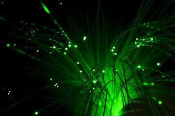 Image showing Optical fibers