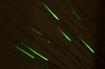 Image showing Optical fibers