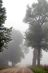 Image showing Gravel road sink in misty fog surrounded by trees.