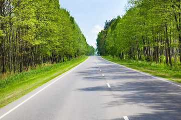 Image showing The asphalted road