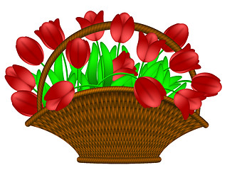 Image showing Basket of Red Tulips Flowers Illustration