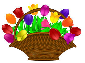 Image showing Basket of Colorful Tulips Flowers Illustration