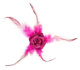 Image showing Pink rose fabric with feathers