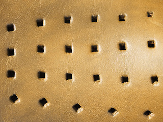 Image showing Leather perforated texture