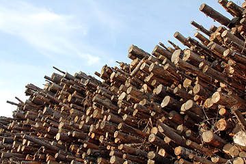 Image showing Wood Fuel against Blue Sky