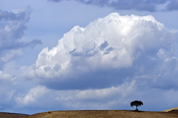 Image showing landscape of Apulia Italy