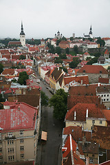 Image showing Estonia, Tallinn, Old Town. top view