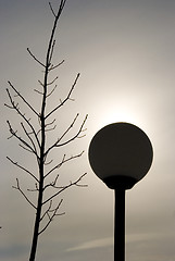 Image showing Street lamp and tree