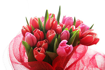 Image showing bouquet  of tulips 