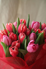 Image showing bouquet  of tulips 