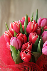 Image showing bouquet  of tulips 