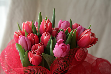 Image showing bouquet  of tulips 