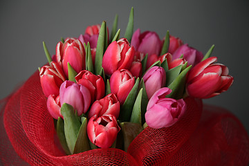 Image showing bouquet  of tulips 