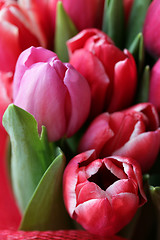 Image showing bouquet  of tulips 