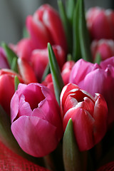 Image showing bouquet  of tulips 