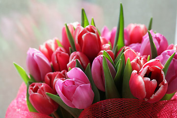 Image showing bouquet  of tulips 