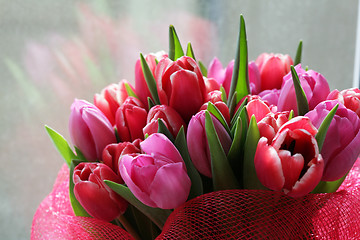 Image showing bouquet  of tulips 