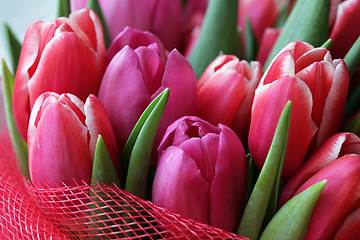 Image showing bouquet  of tulips 