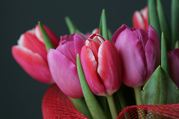 Image showing bouquet  of tulips 