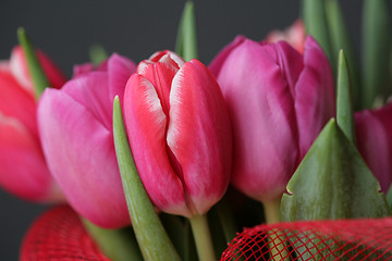 Image showing bouquet  of tulips 