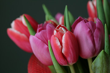 Image showing bouquet  of tulips 