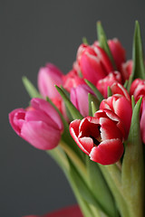 Image showing bouquet  of tulips 