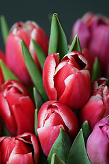 Image showing bouquet  of tulips 