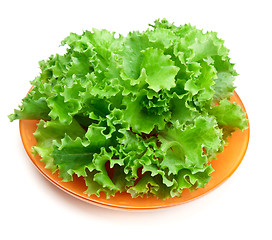 Image showing Fresh green salad