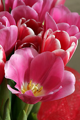 Image showing bouquet  of tulips 