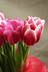 Image showing bouquet  of tulips 