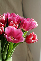 Image showing bouquet  of tulips 