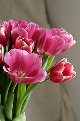 Image showing bouquet  of tulips 