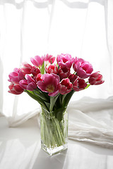 Image showing bouquet  of tulips 